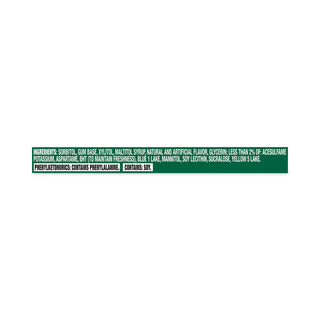 Sugar-Free Gum, Spearmint, 14 Pieces/Pack, 12 Packs/Carton, Ships in 1-3 Business Days