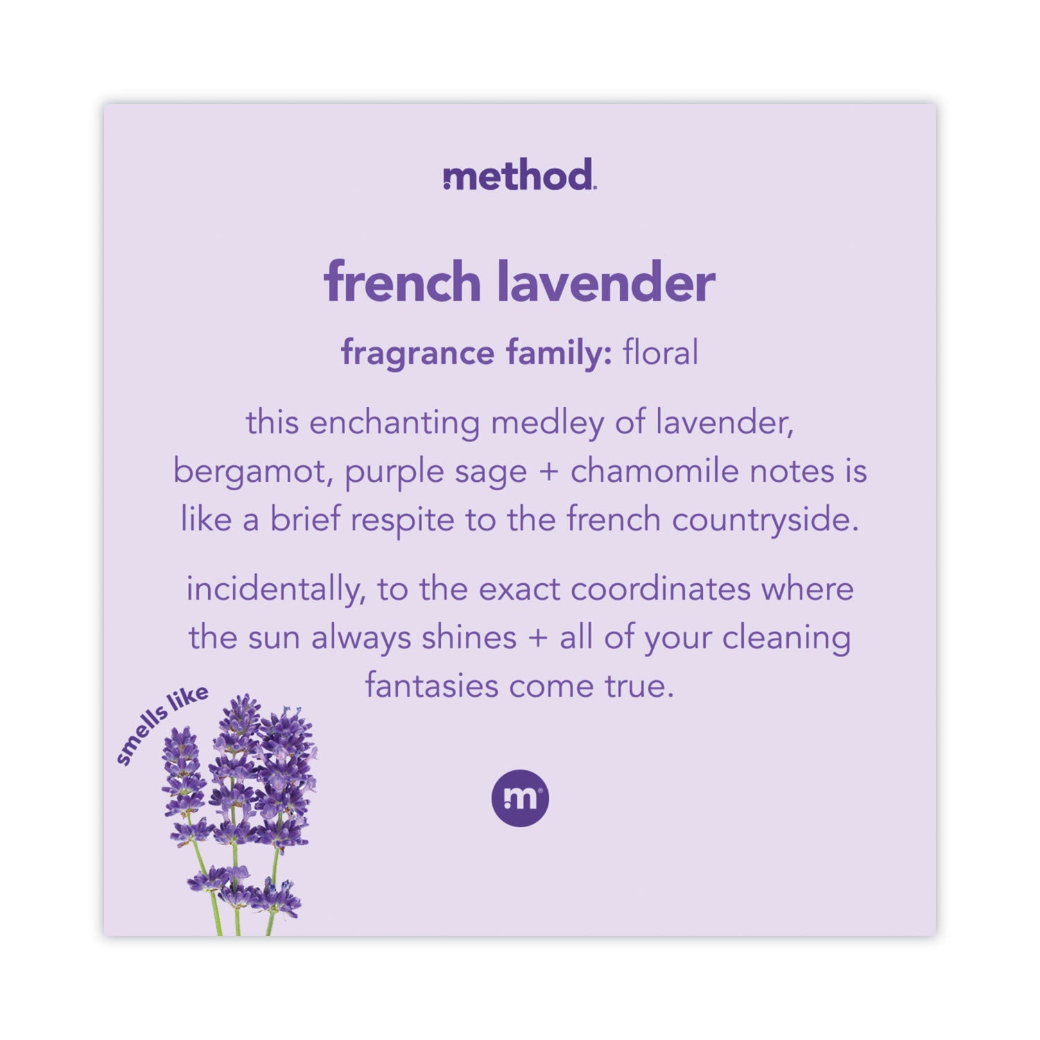 foaming-hand-wash-french-lavender-10-oz-pump-bottle_mth00363 - 2