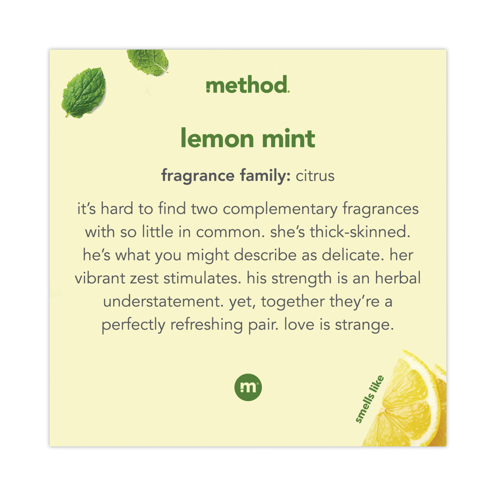 Foaming Hand Wash, Lemon Mint, 10 oz Pump Bottle
