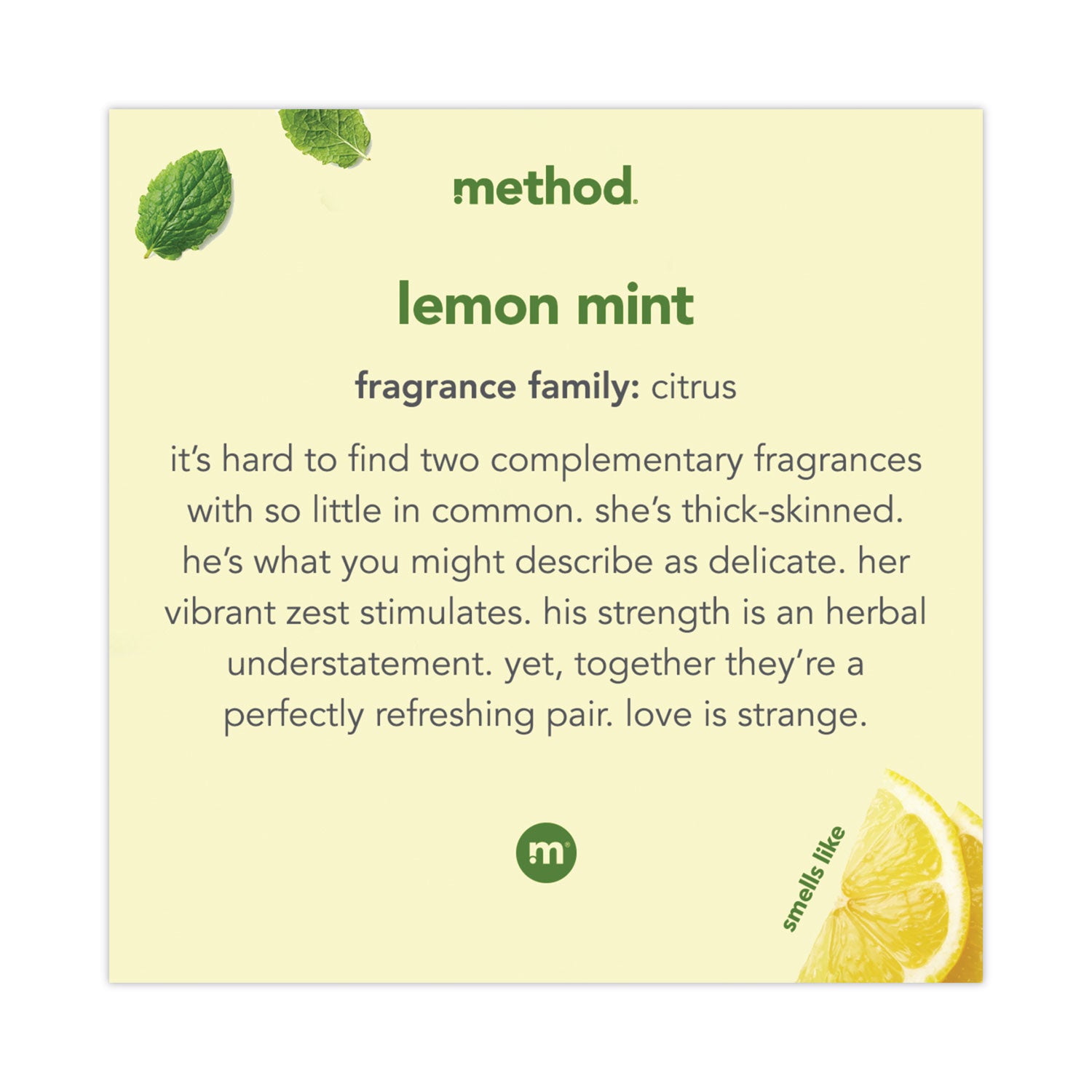 Foaming Hand Wash, Lemon Mint, 10 oz Pump Bottle