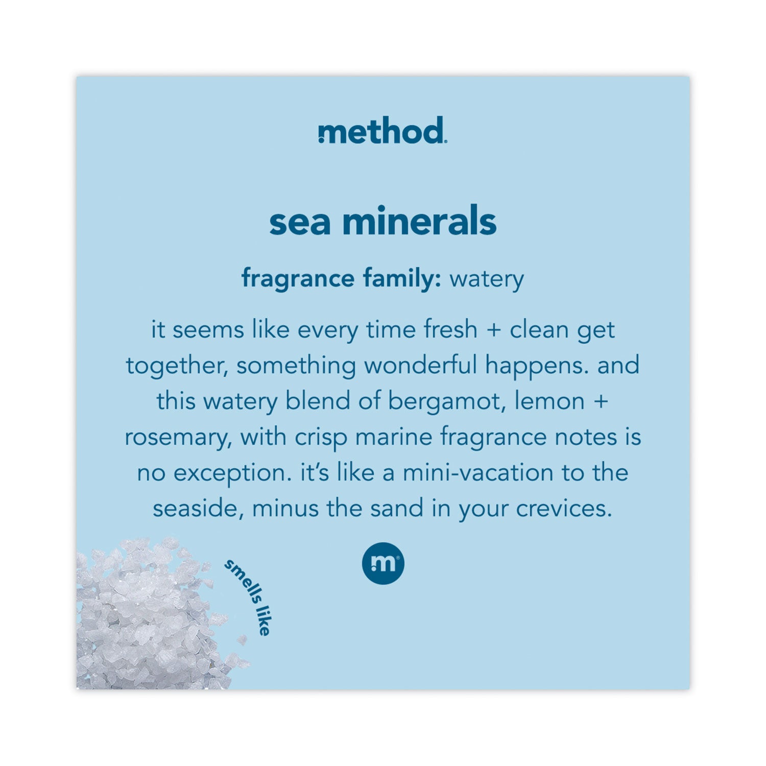 Foaming Hand Wash, Sea Minerals, 10 oz Pump Bottle