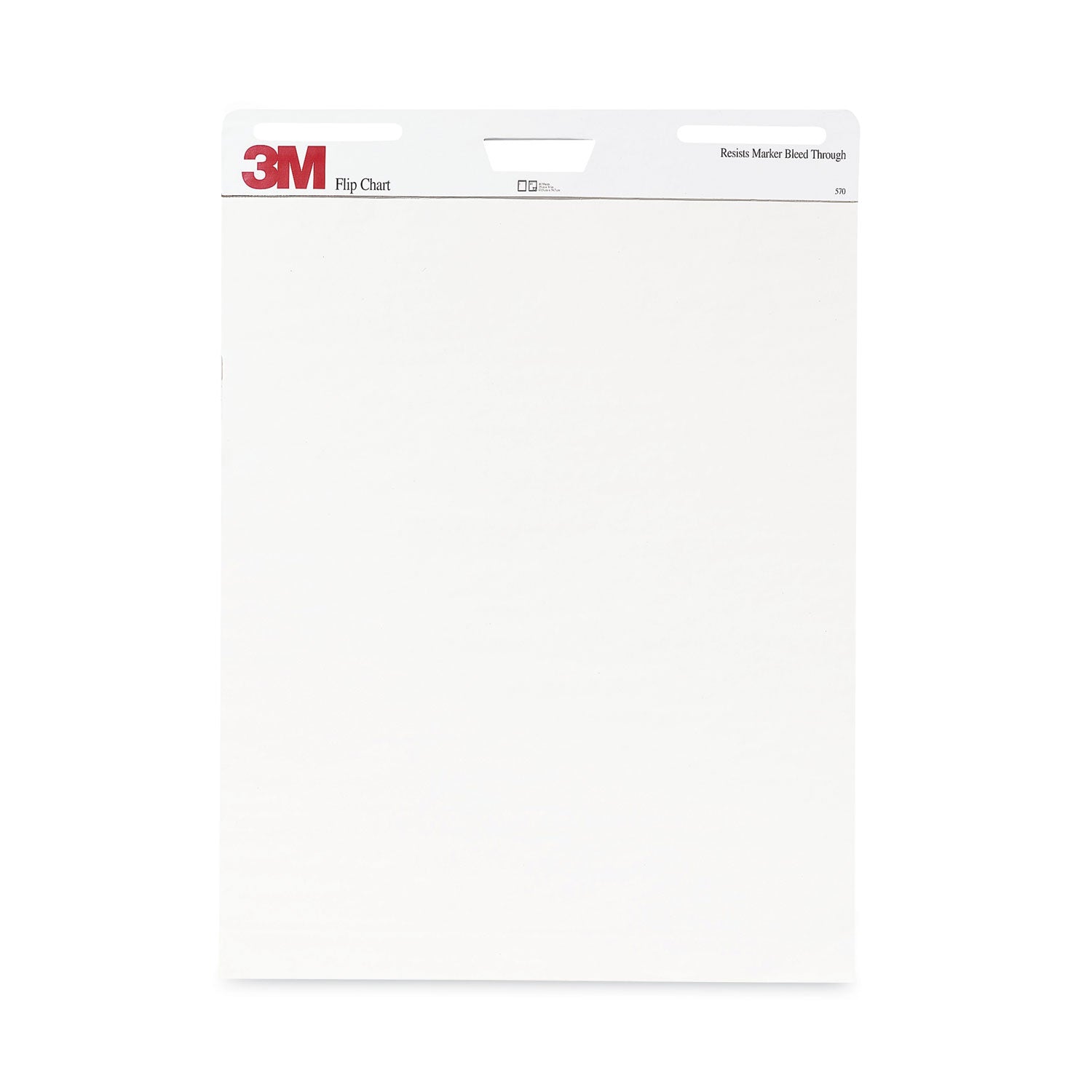 Professional Flip Chart, Unruled, 25 x 30, White, 40 Sheets, 2/Carton - 