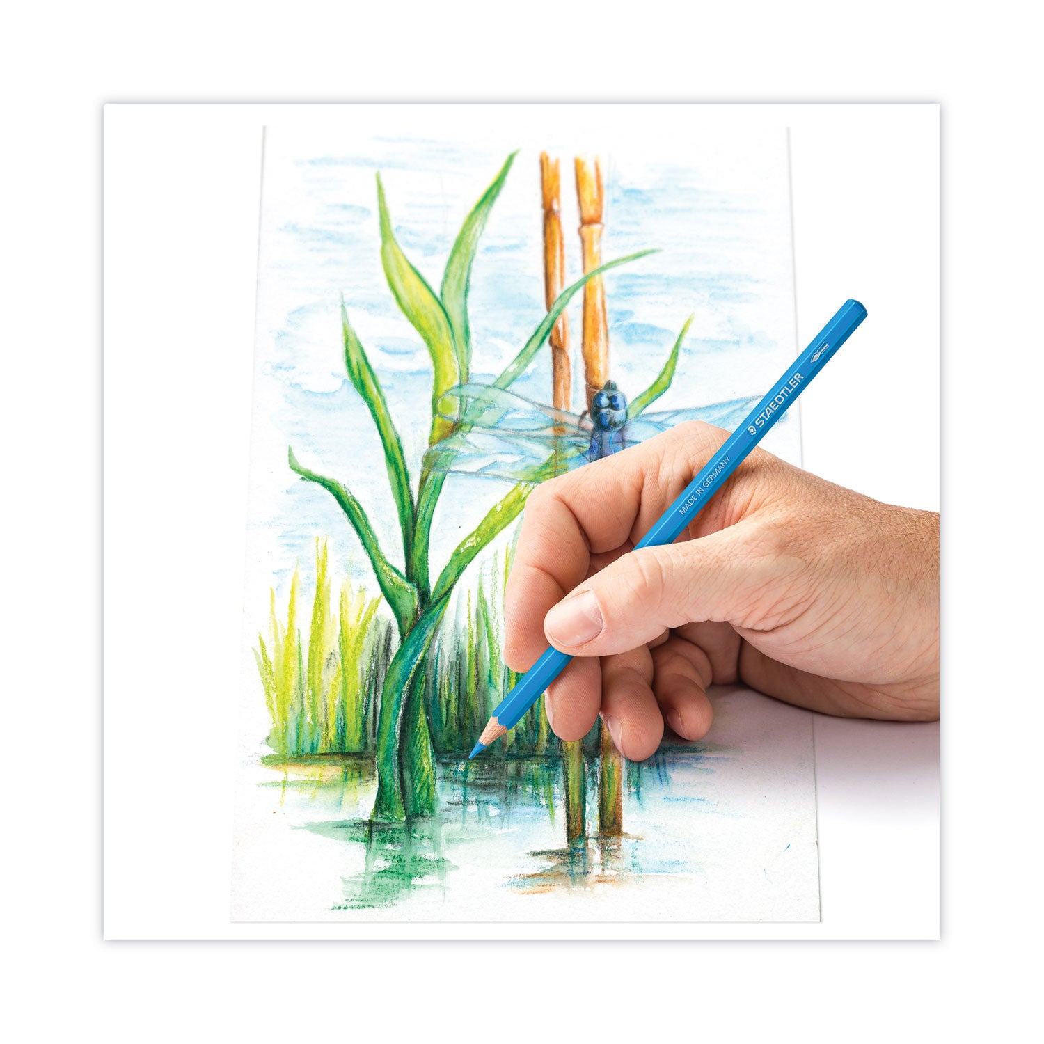 watercolor-pencils-29-mm-hb-#2-assorted-lead-and-barrel-colors-12-pack_std14610cc12 - 4