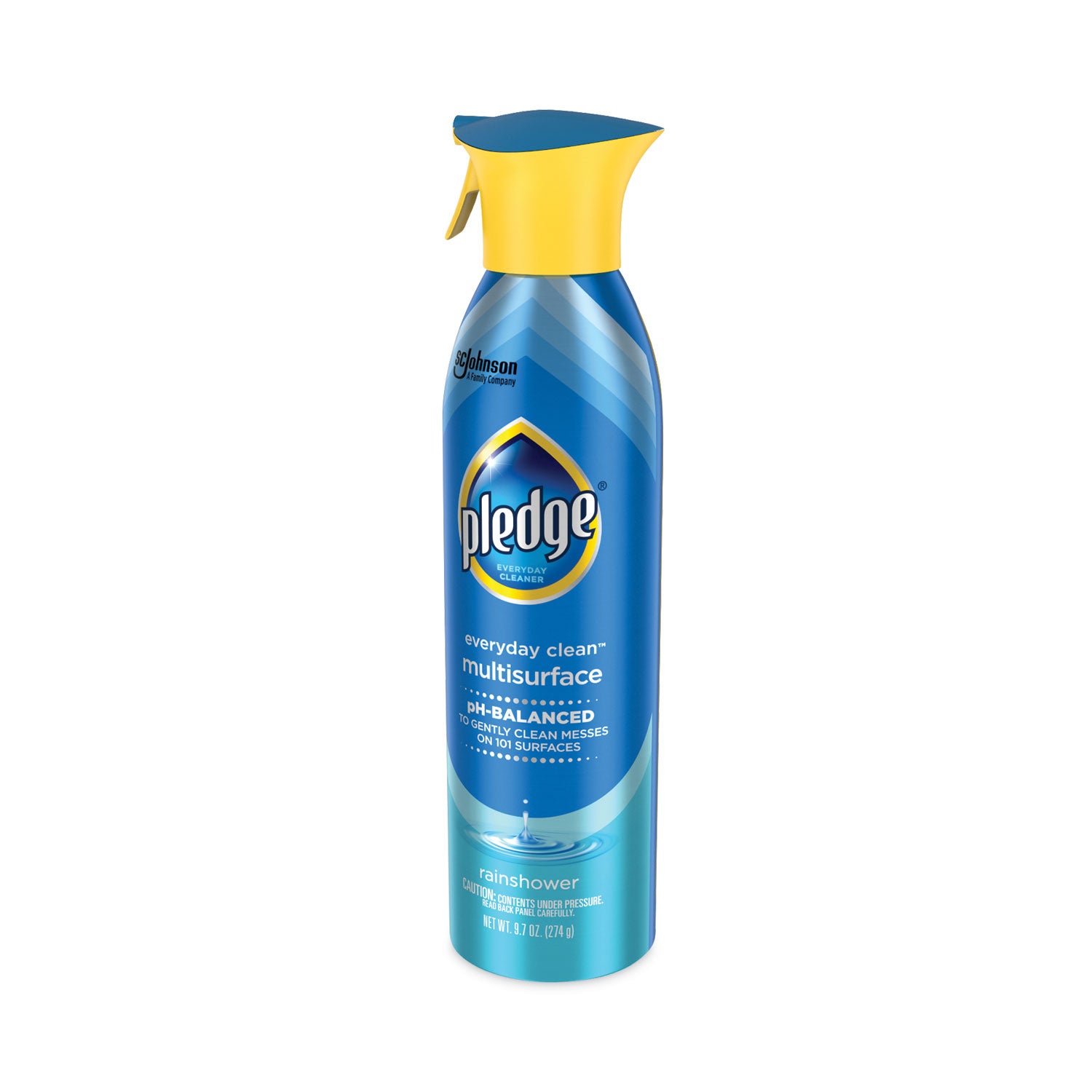 Multi-Surface Everyday, Rainshower, 9.7 oz Aerosol Spray, 6/Carton