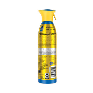 Multi-Surface Everyday, Rainshower, 9.7 oz Aerosol Spray, 6/Carton