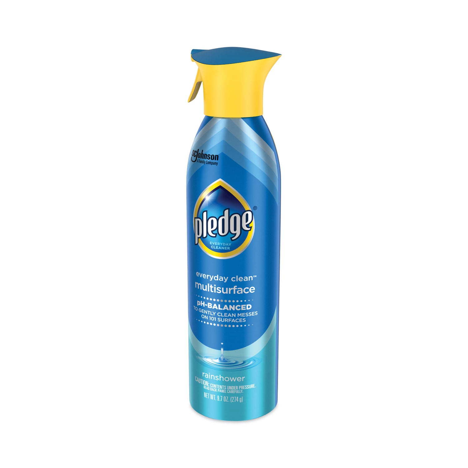 Multi-Surface Everyday, Rainshower, 9.7 oz Aerosol Spray