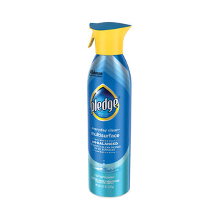 Multi-Surface Everyday, Rainshower, 9.7 oz Aerosol Spray