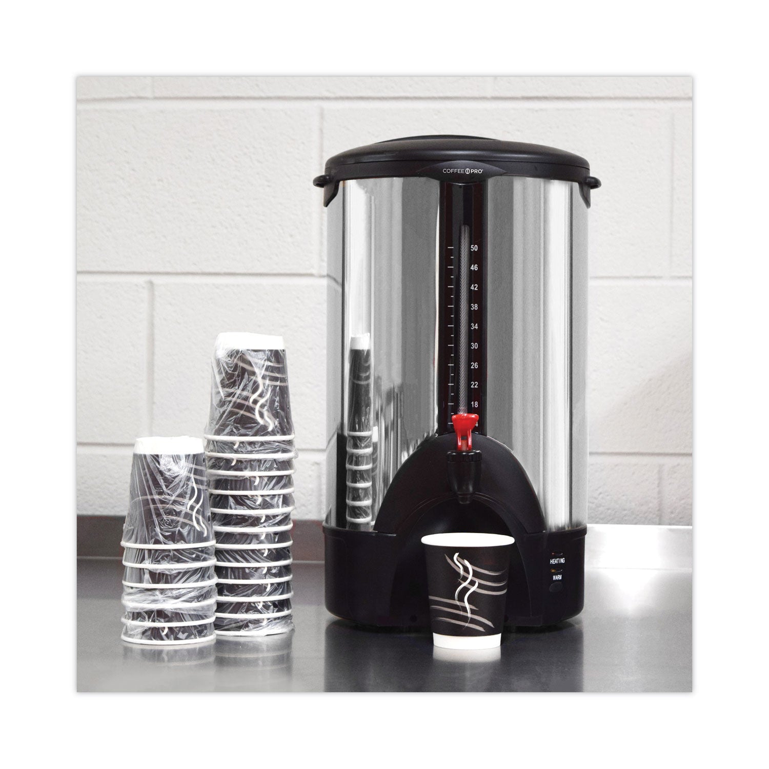 50-Cup Percolating Urn, Stainless Steel - 