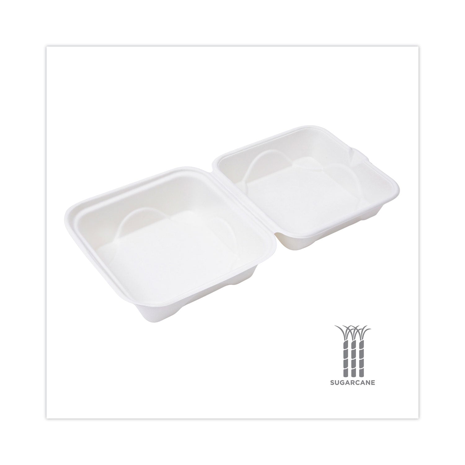bagasse-hinged-clamshell-containers-6-x-6-x-3-white-sugarcane-50-pack-10-packs-carton_ecoephc6 - 5