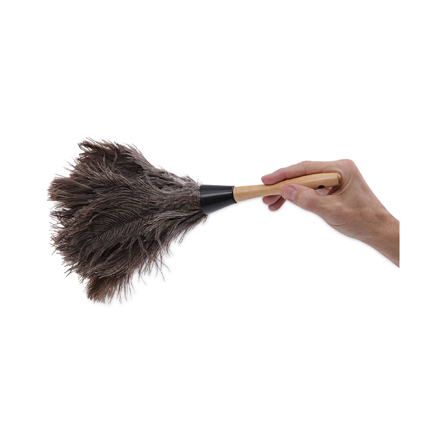 professional-ostrich-feather-duster-4-handle_bwk12gy - 6