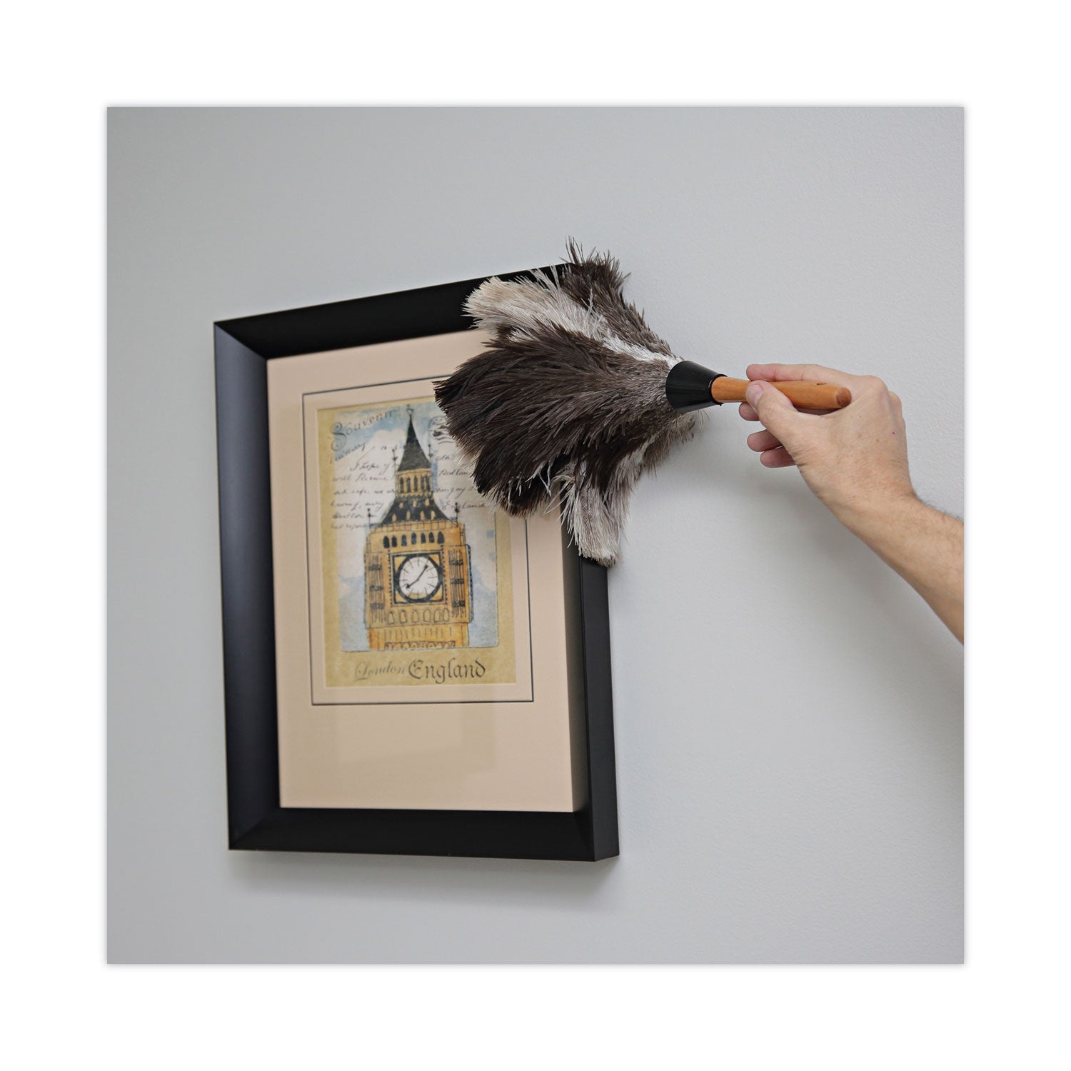 professional-ostrich-feather-duster-7-handle_bwk13fd - 5
