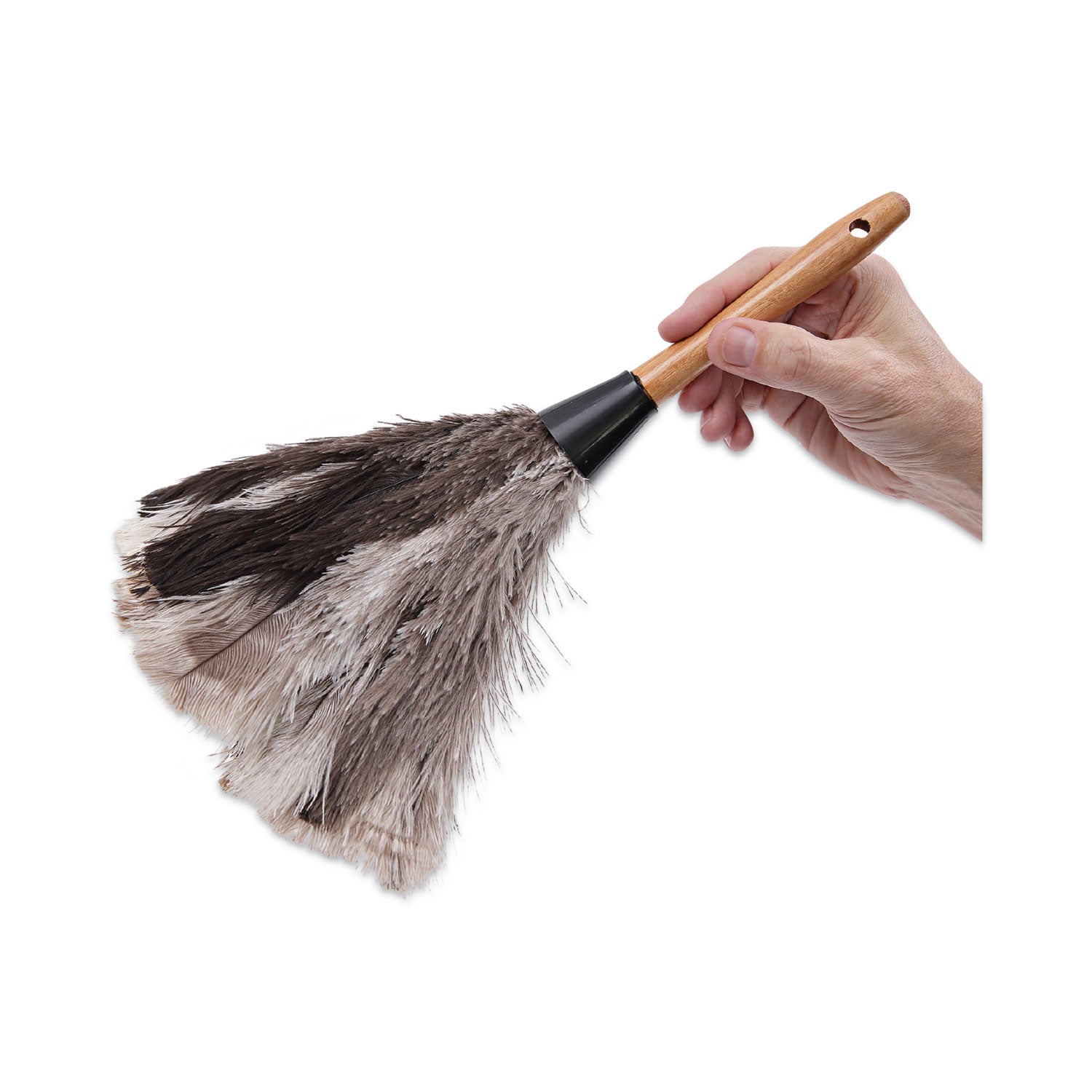 professional-ostrich-feather-duster-7-handle_bwk13fd - 6