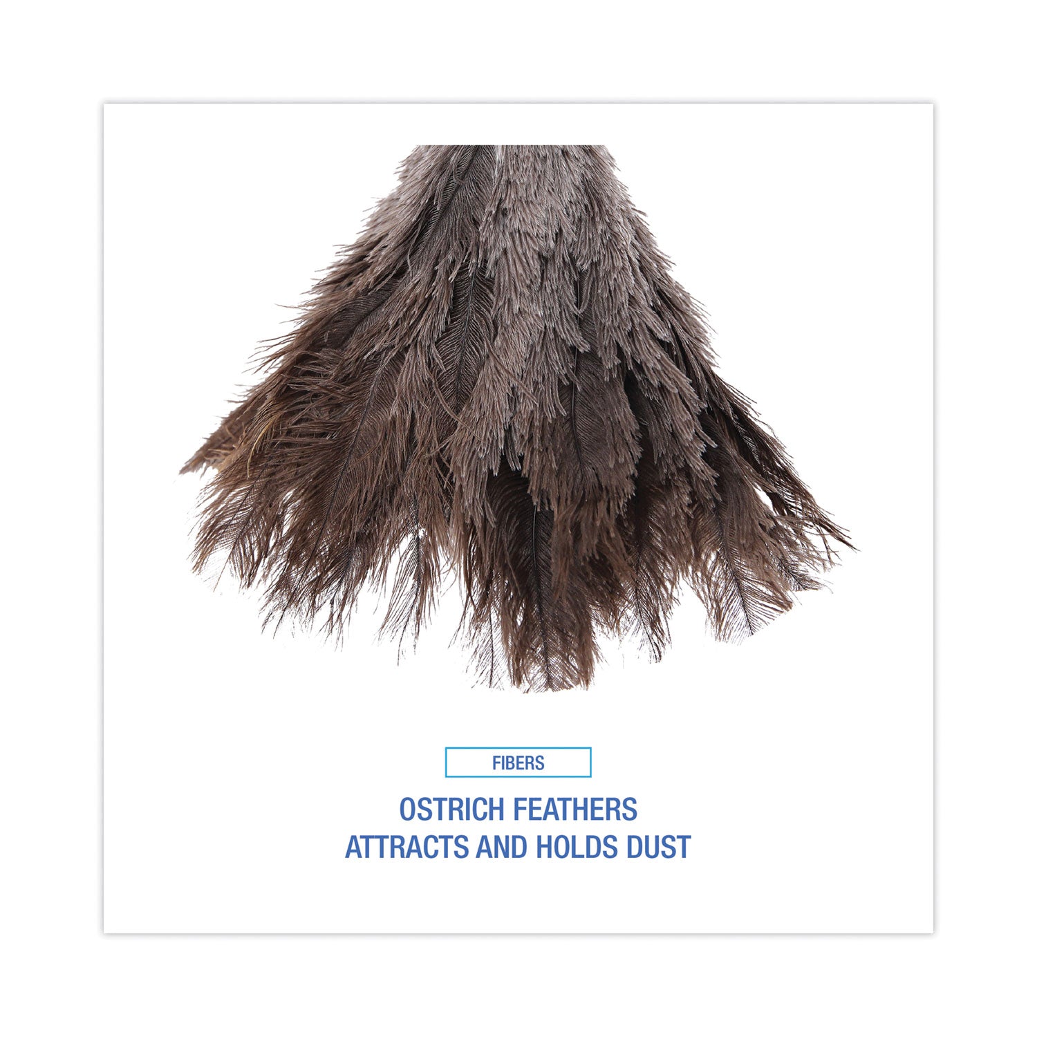 professional-ostrich-feather-duster-gray-14-length-6-handle_bwk14fd - 4