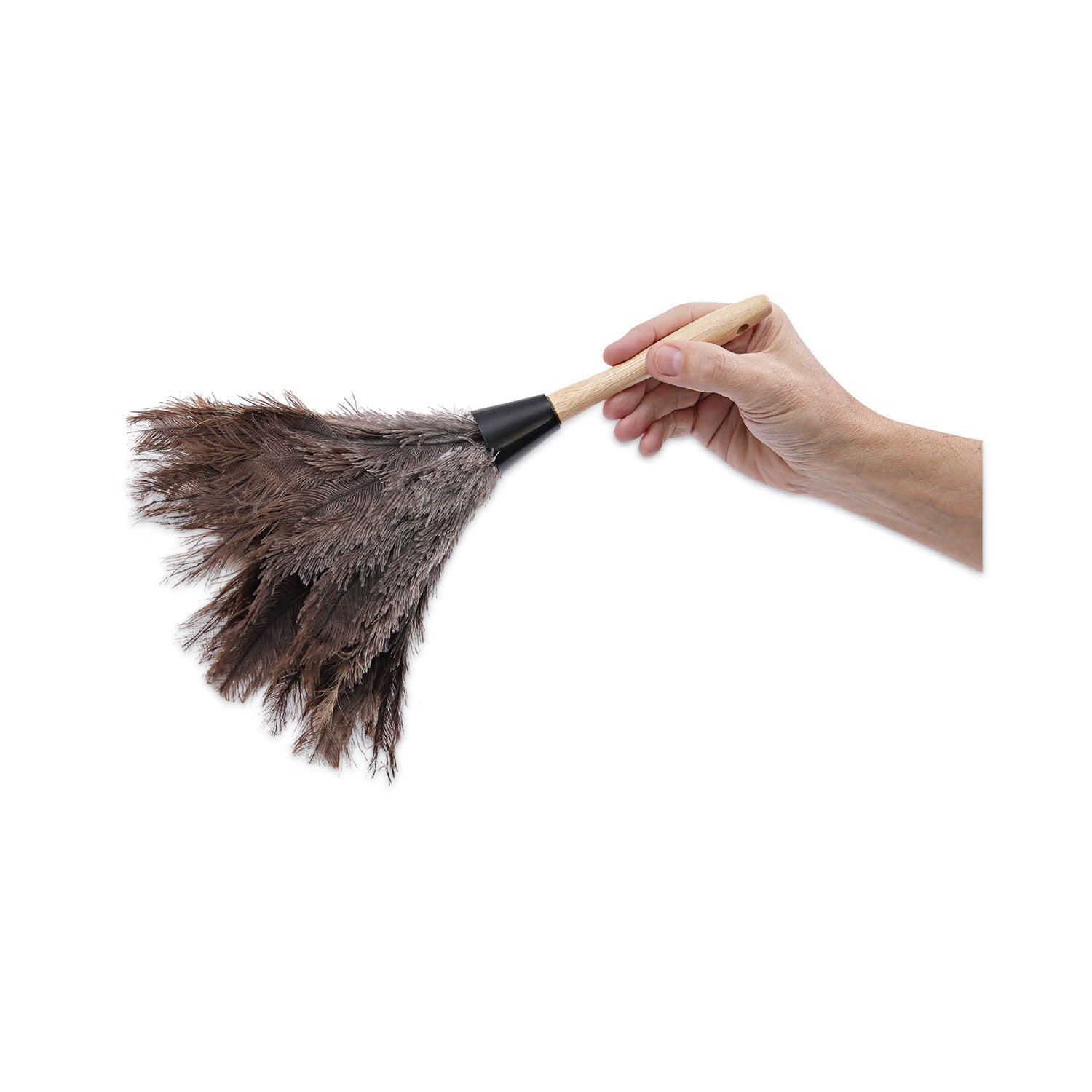 professional-ostrich-feather-duster-gray-14-length-6-handle_bwk14fd - 6