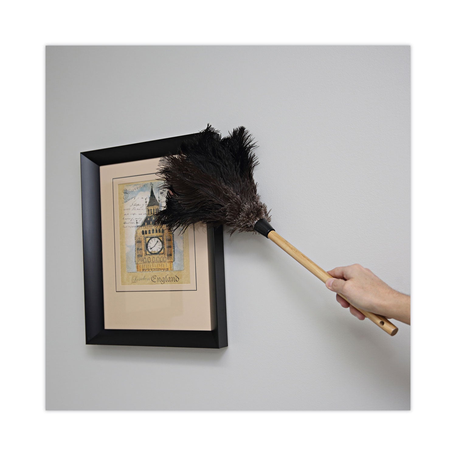 professional-ostrich-feather-duster-10-handle_bwk20bk - 5