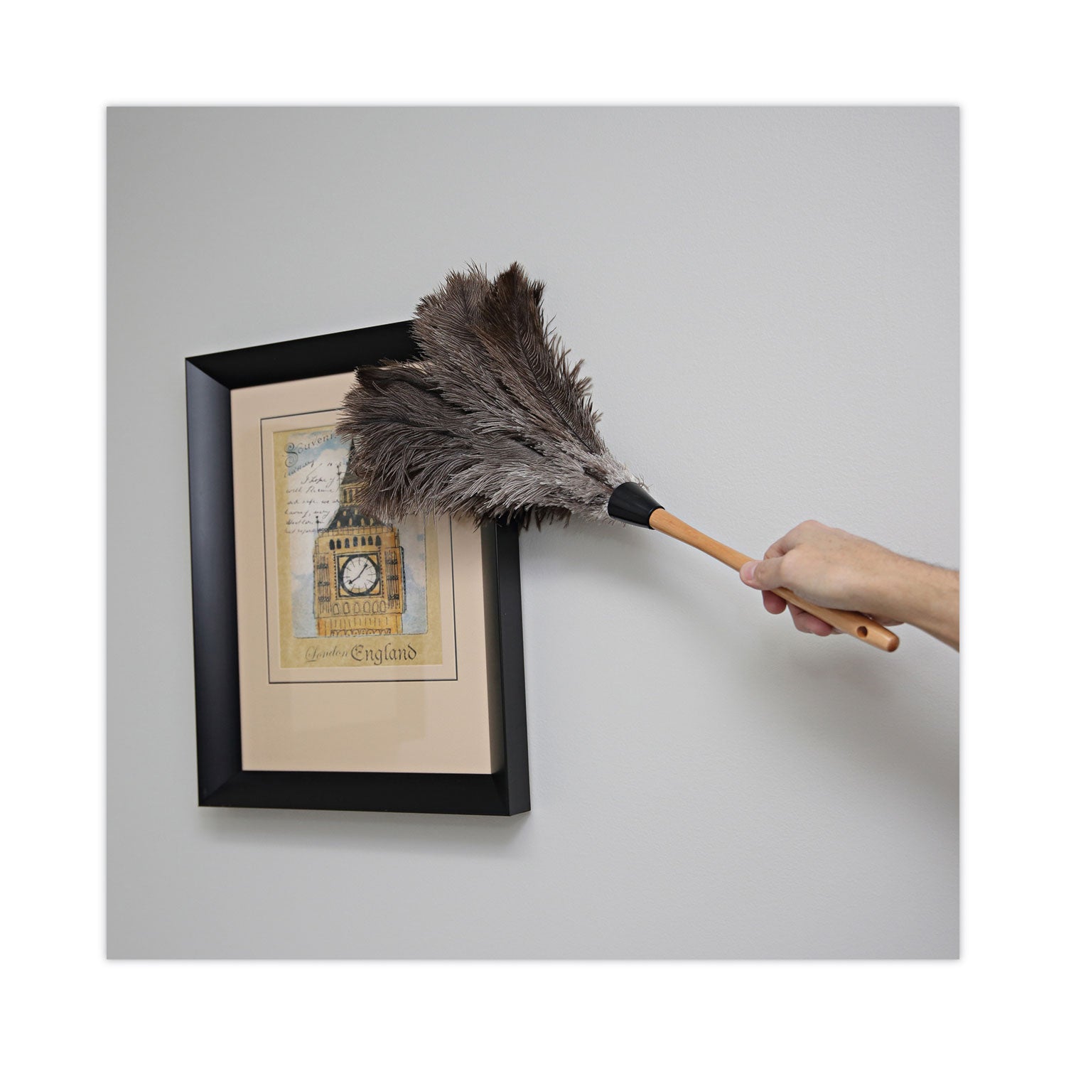 professional-ostrich-feather-duster-wood-handle-20_bwk20gy - 5