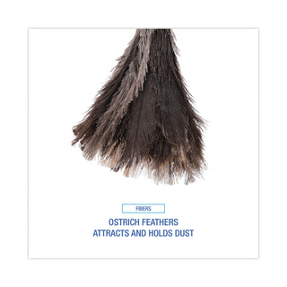 Professional Ostrich Feather Duster, 13" Handle