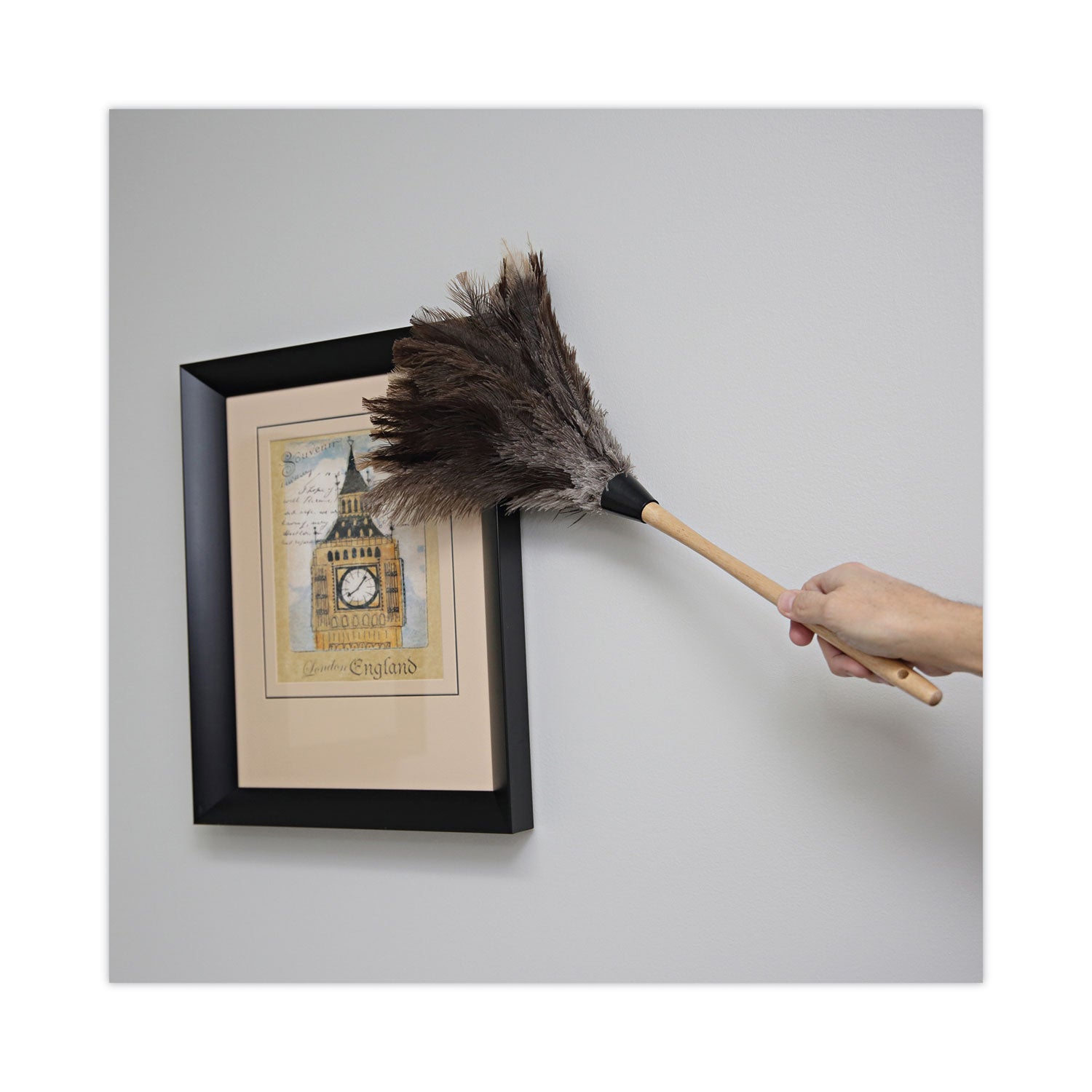 professional-ostrich-feather-duster-13-handle_bwk23fd - 5