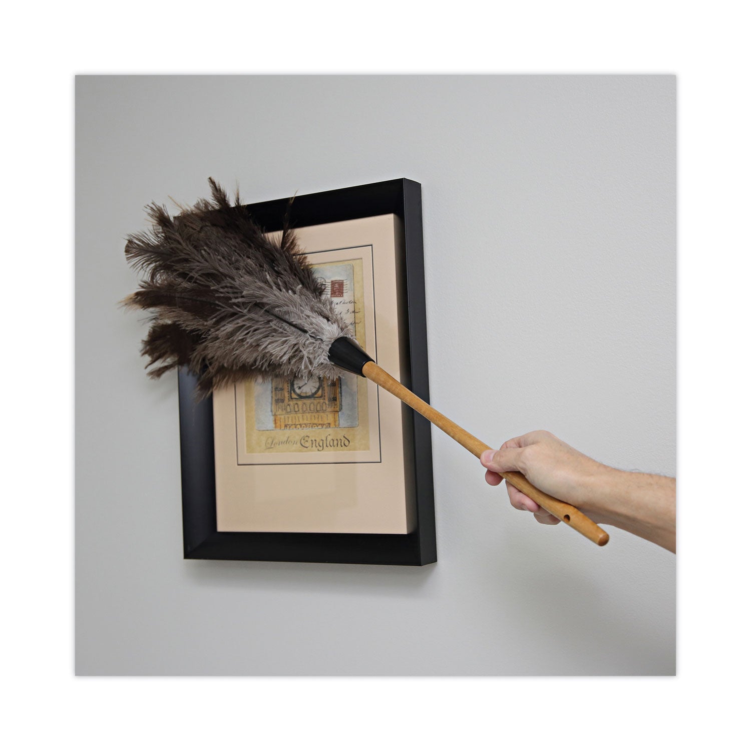 professional-ostrich-feather-duster-16-handle_bwk31fd - 5