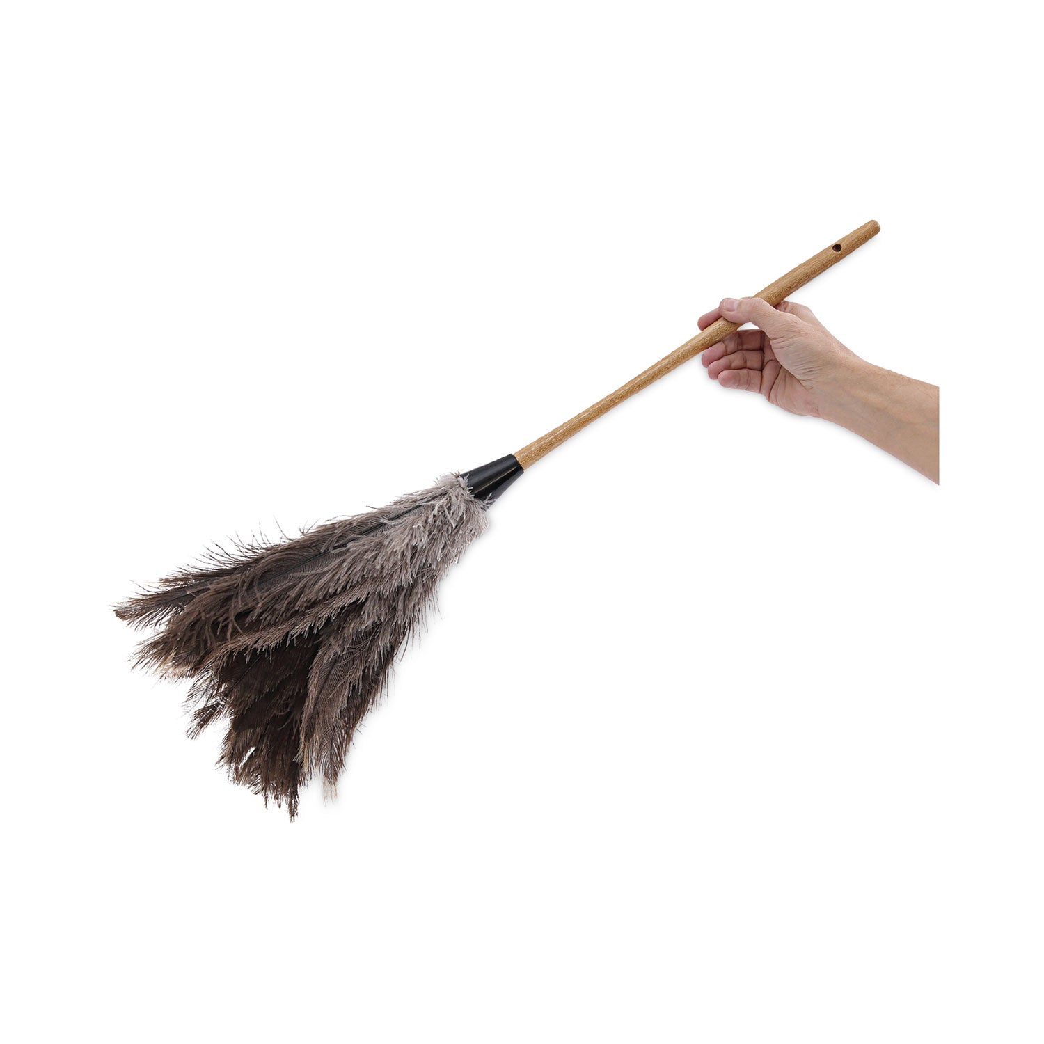 professional-ostrich-feather-duster-16-handle_bwk31fd - 6
