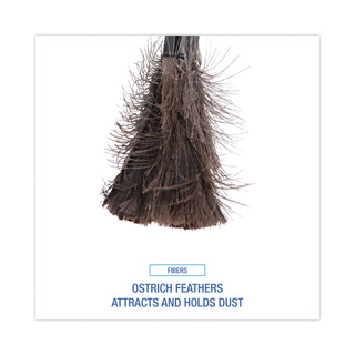 Retractable Feather Duster, 9" to 14" Handle