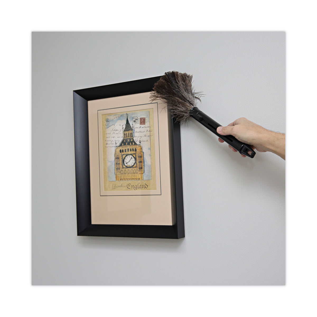Retractable Feather Duster, 9" to 14" Handle