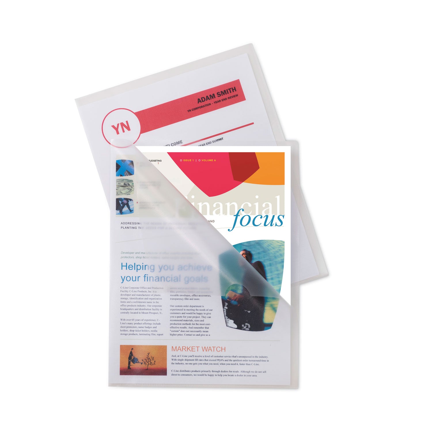 Specialty Project Folders, Letter Size, Clear, 25/Box - 