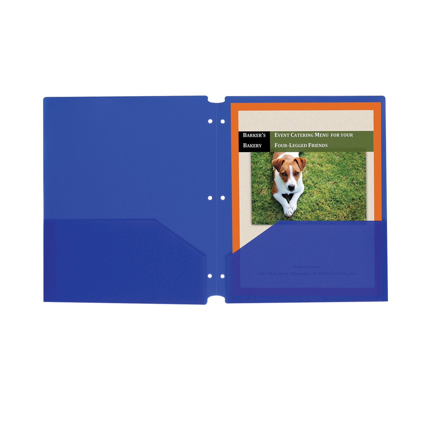 Two-Pocket Heavyweight Poly Portfolio Folder, 3-Hole Punch, 11 x 8.5, Blue, 25/Box - 