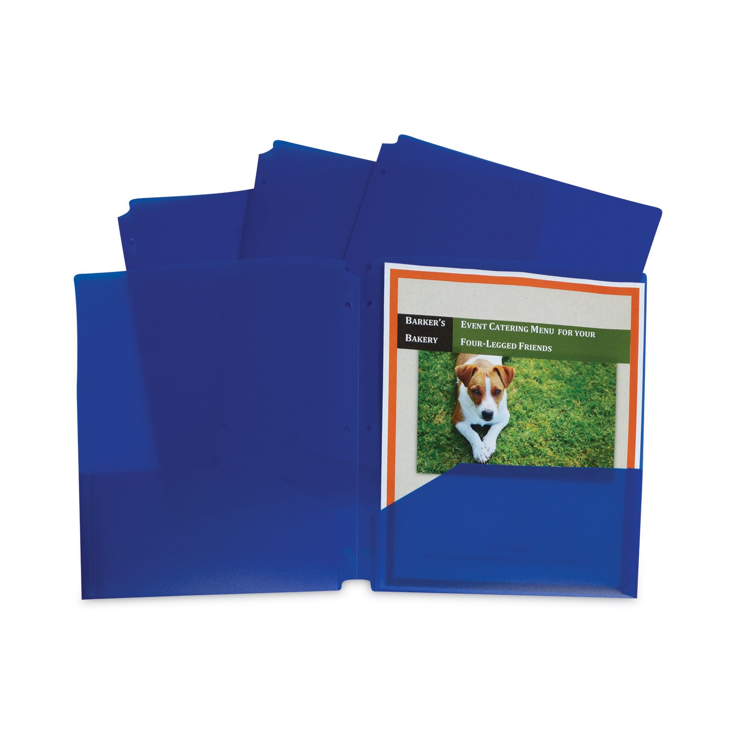 Two-Pocket Heavyweight Poly Portfolio Folder, 3-Hole Punch, 11 x 8.5, Blue, 25/Box - 