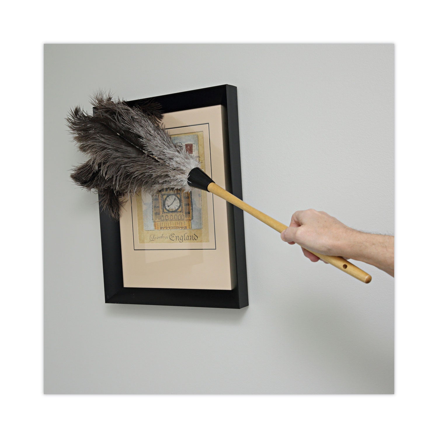 professional-ostrich-feather-duster-16-handle_bwk28gy - 5