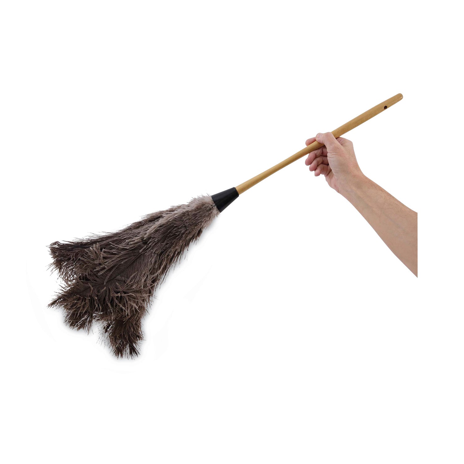 professional-ostrich-feather-duster-16-handle_bwk28gy - 6