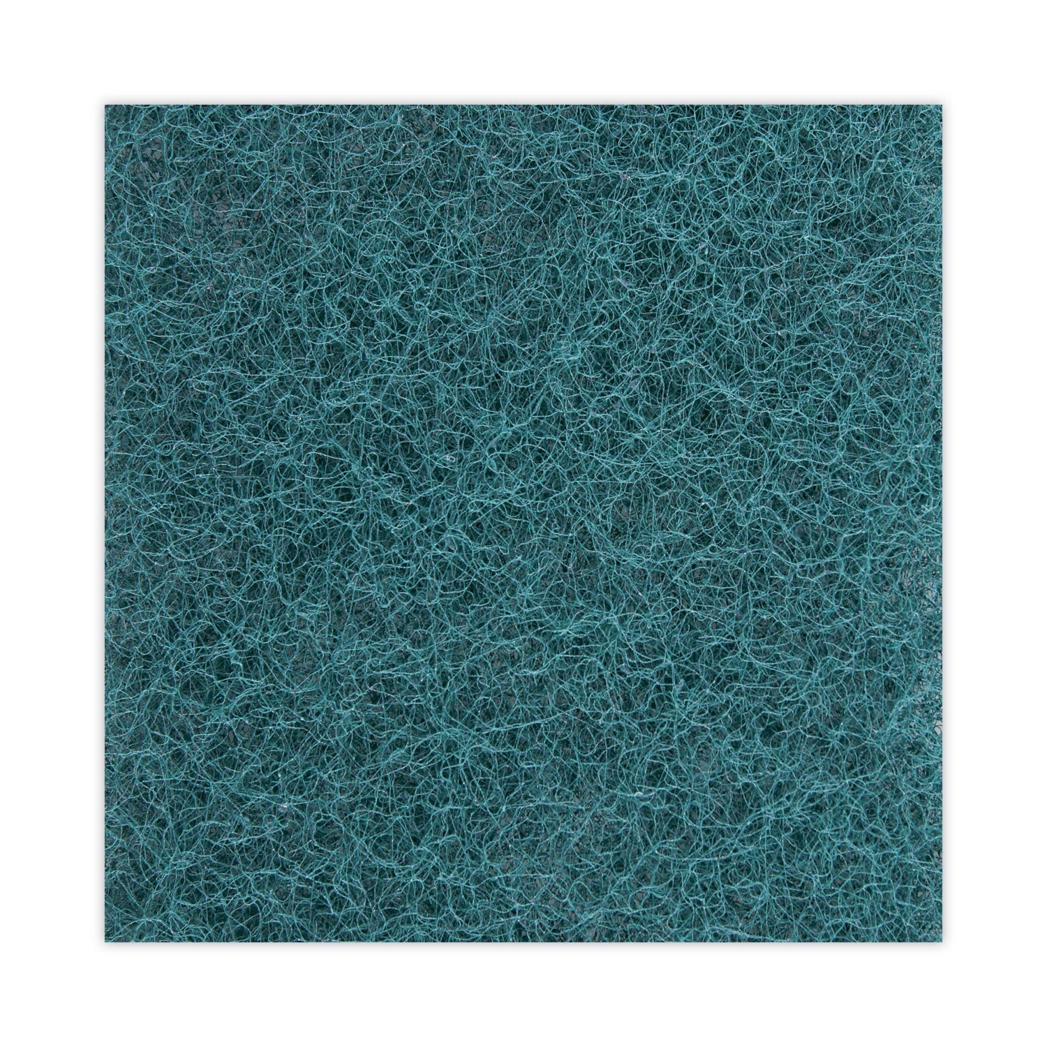 heavy-duty-scour-pad-6-x-9-green-15-carton_bwk186 - 6