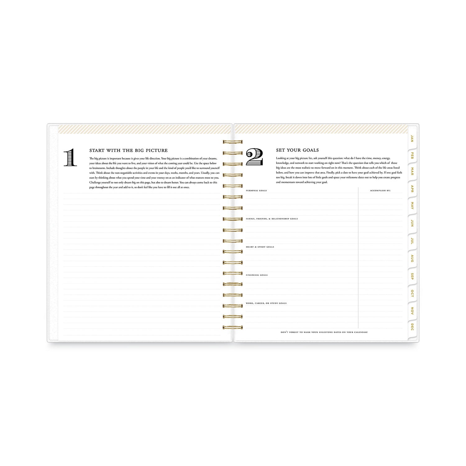 day-designer-daily-monthly-frosted-planner-rugby-stripe-artwork-10-x-8-black-white-cover-12-month-july-june-2023-2024_bls137885 - 6