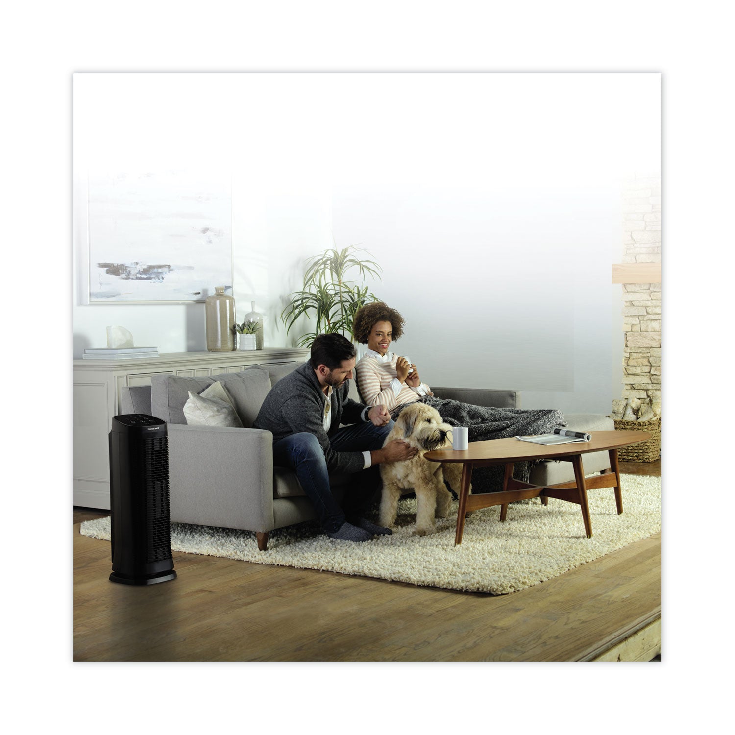 AirGenius 5 Air Purifier, 250 sq ft Room Capacity, Black - 