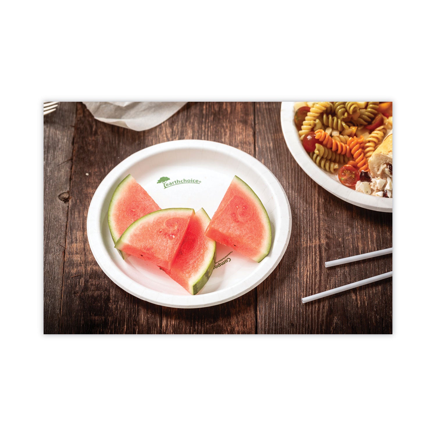 EarthChoice Pressware Compostable Dinnerware, Plate, 9" dia, White, 450/Carton