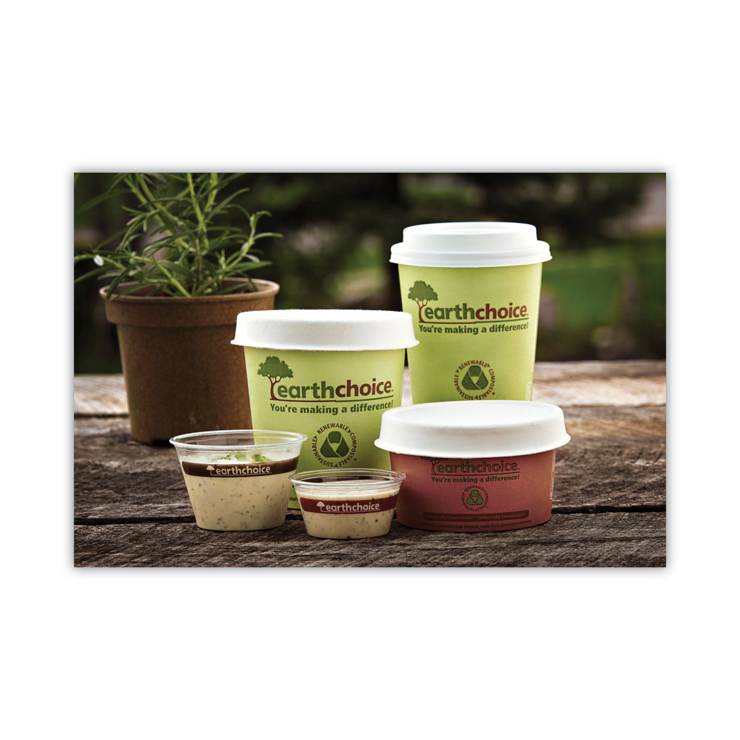 earthchoice-compostable-soup-cup-large-16-oz-363-diameter-x-388h-green-paper-500-carton_pctphsc16ecdi - 8
