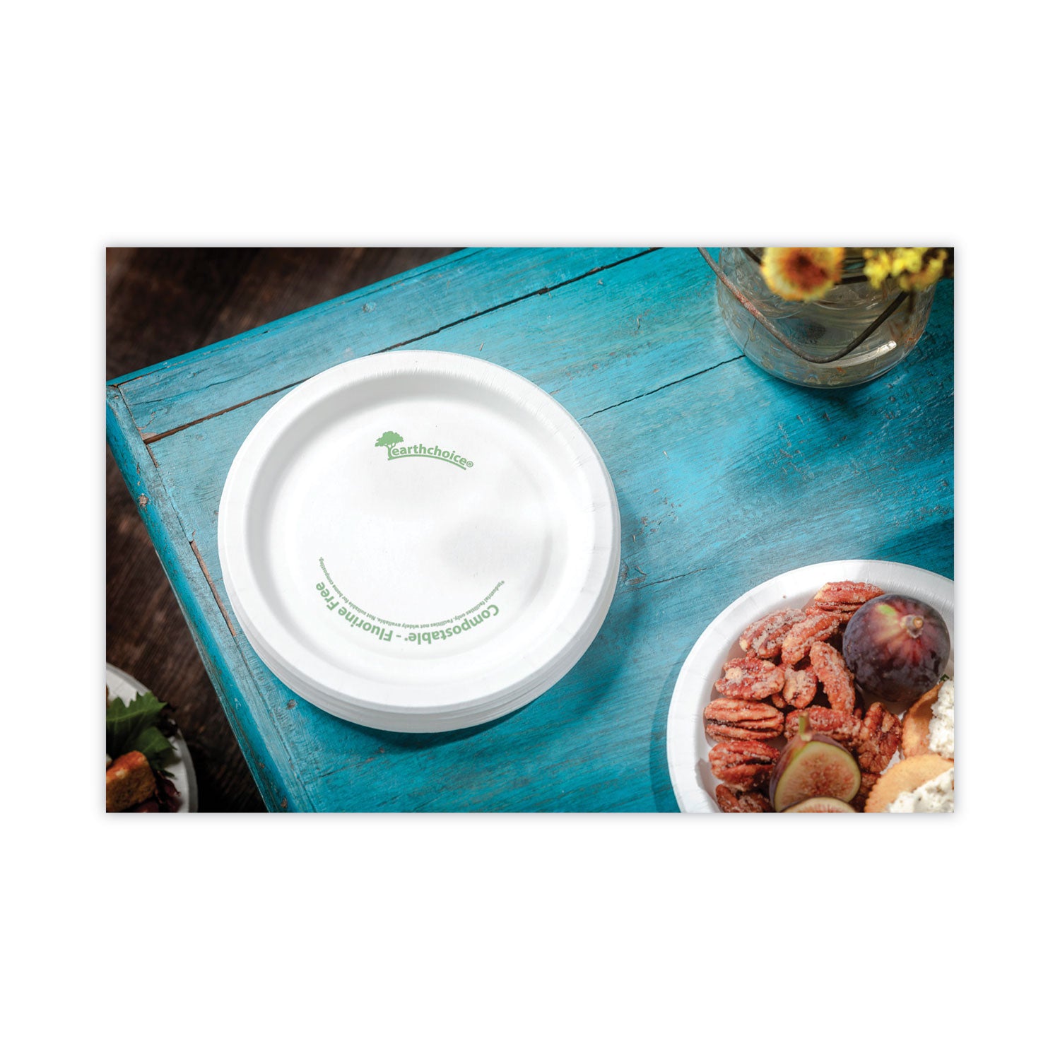 earthchoice-pressware-compostable-dinnerware-plate-6-dia-white-750-carton_pctpsp06ec - 5