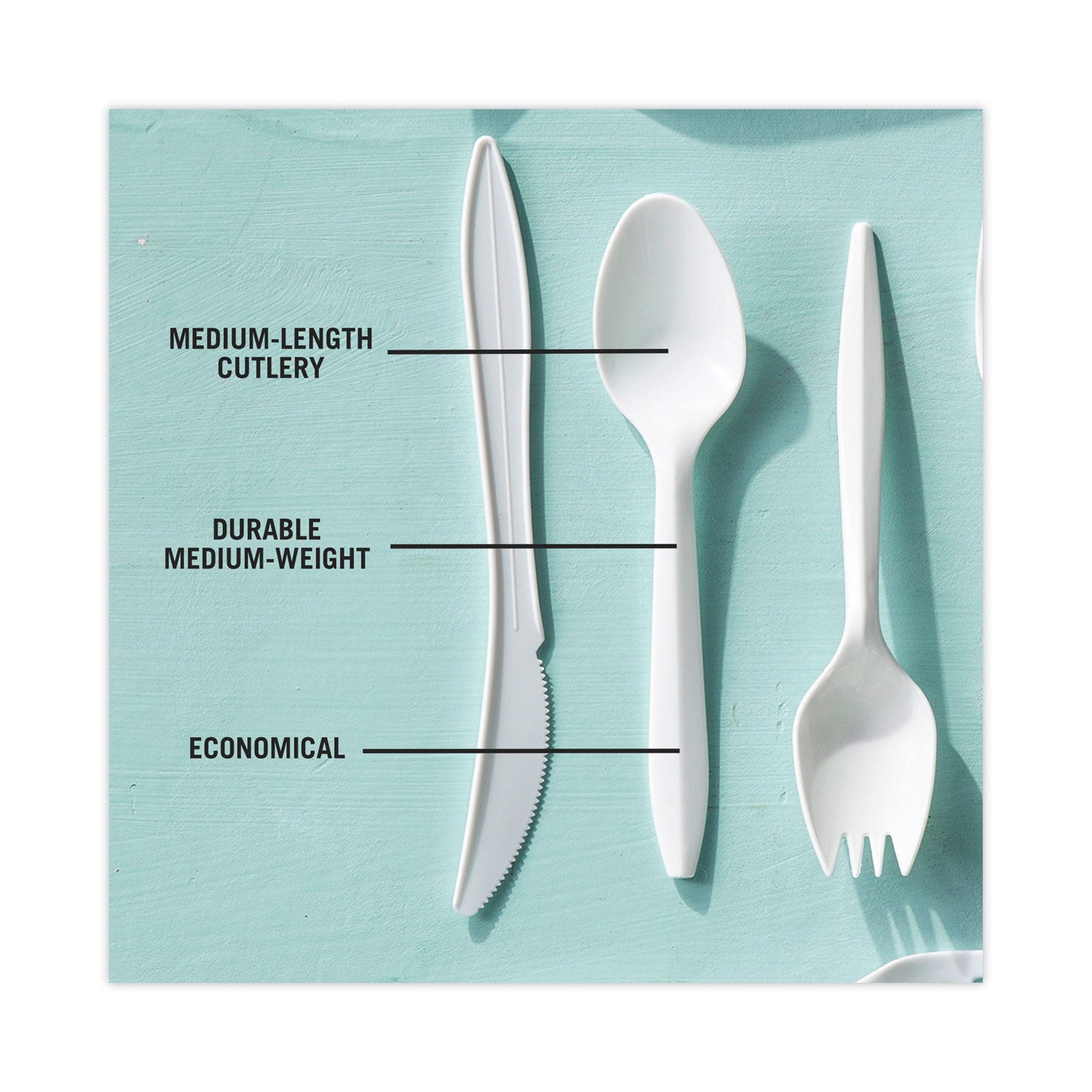 Fieldware Cutlery, Spoon, Mediumweight, White, 1,000/Carton