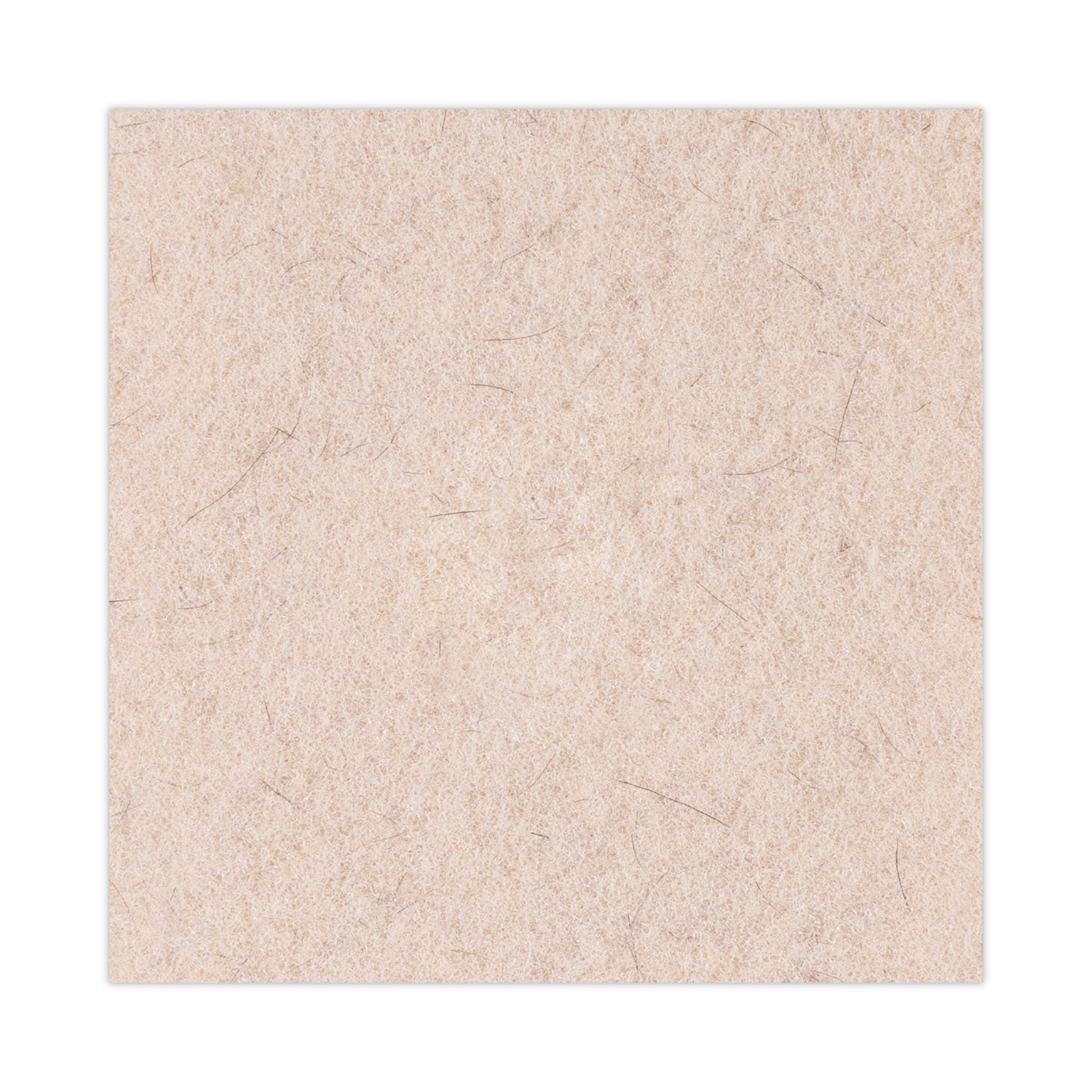 Natural Hog Hair Burnishing Floor Pads, 20" Diameter, Tan, 5/Carton - 