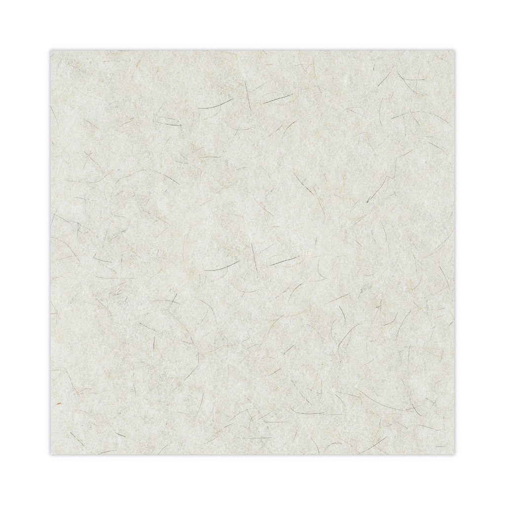Natural Burnishing Floor Pads, 20" Diameter, White, 5/Carton