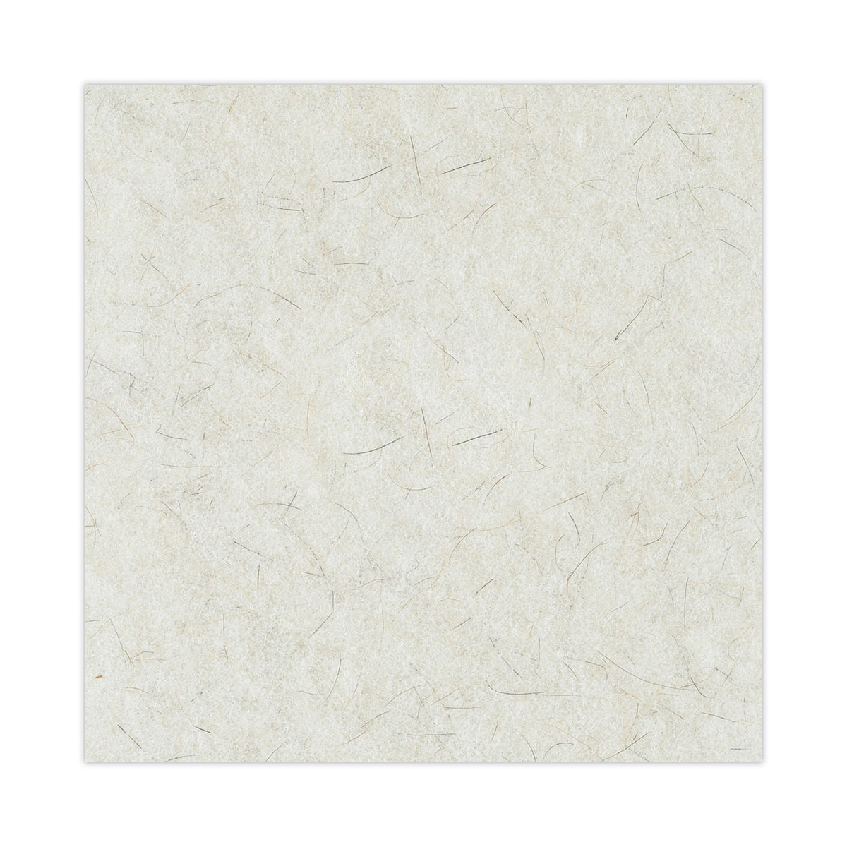 Natural Burnishing Floor Pads, 20" Diameter, White, 5/Carton