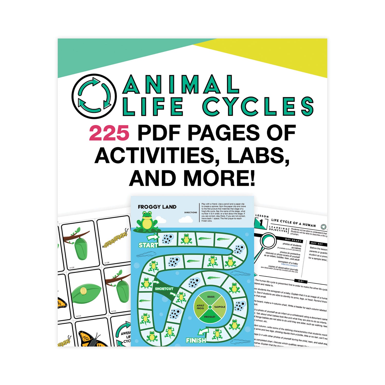 in-a-flash-usb-animal-lifestyles-ages-5-8-225-pages_cdp109567 - 2