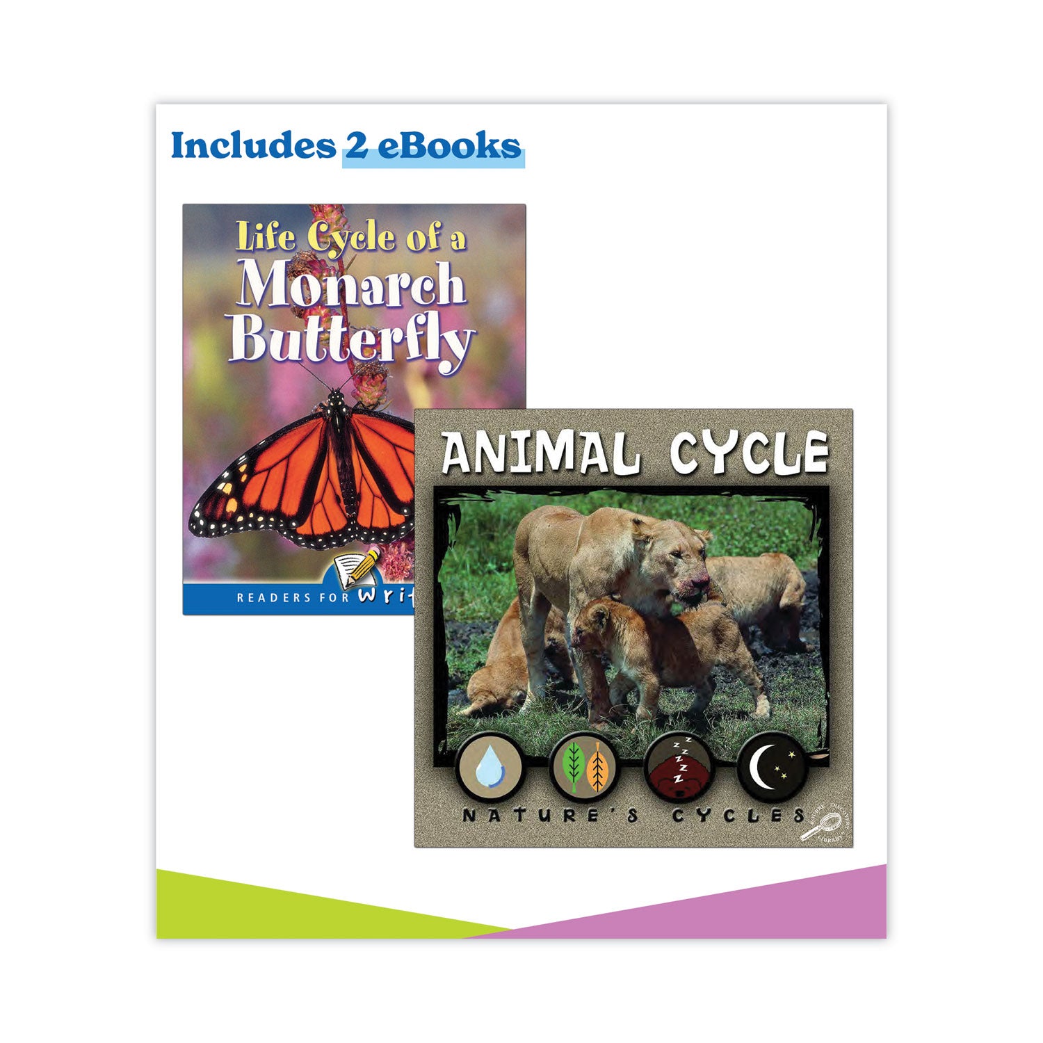 In a Flash USB, Animal Lifestyles, Ages 5-8, 225 Pages