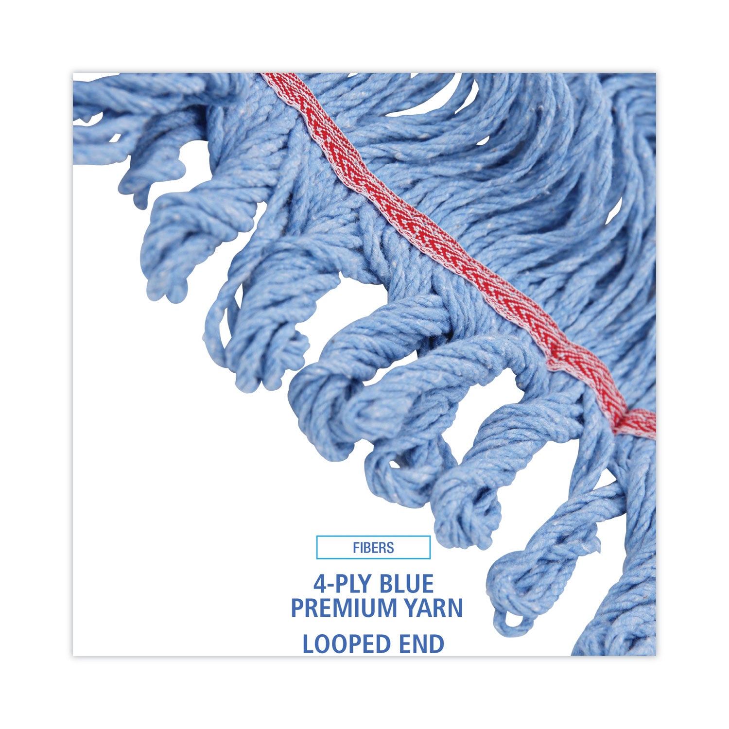 Pro Loop Web/Tailband Mop Head, Blue, Large, 12/Carton