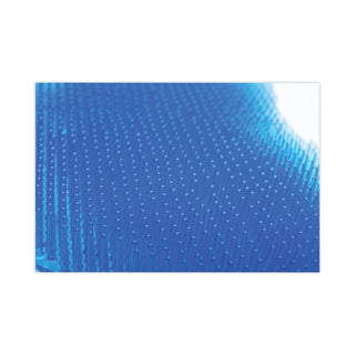 ekcoscreen Urinal Screens, Fresh Scent, Blue, 12/Carton