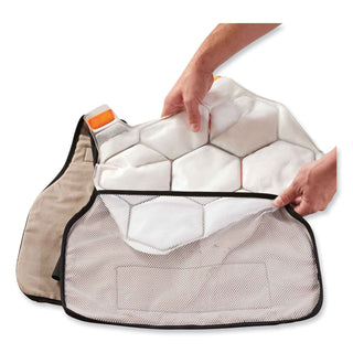 Chill-Its 6220 Phase Change Cooling Vest Charge Packs, Small/Medium, 12 x 16.25, Ships in 1-3 Business Days