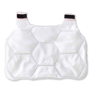 Chill-Its 6220 Phase Change Cooling Vest Charge Packs, Large/X-Large, 14.75 x 18, Ships in 1-3 Business Days