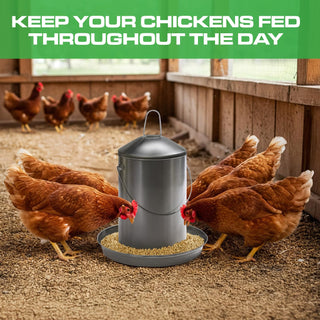 0.8 Gallon Stainless Steel Automatic Poultry Drinker