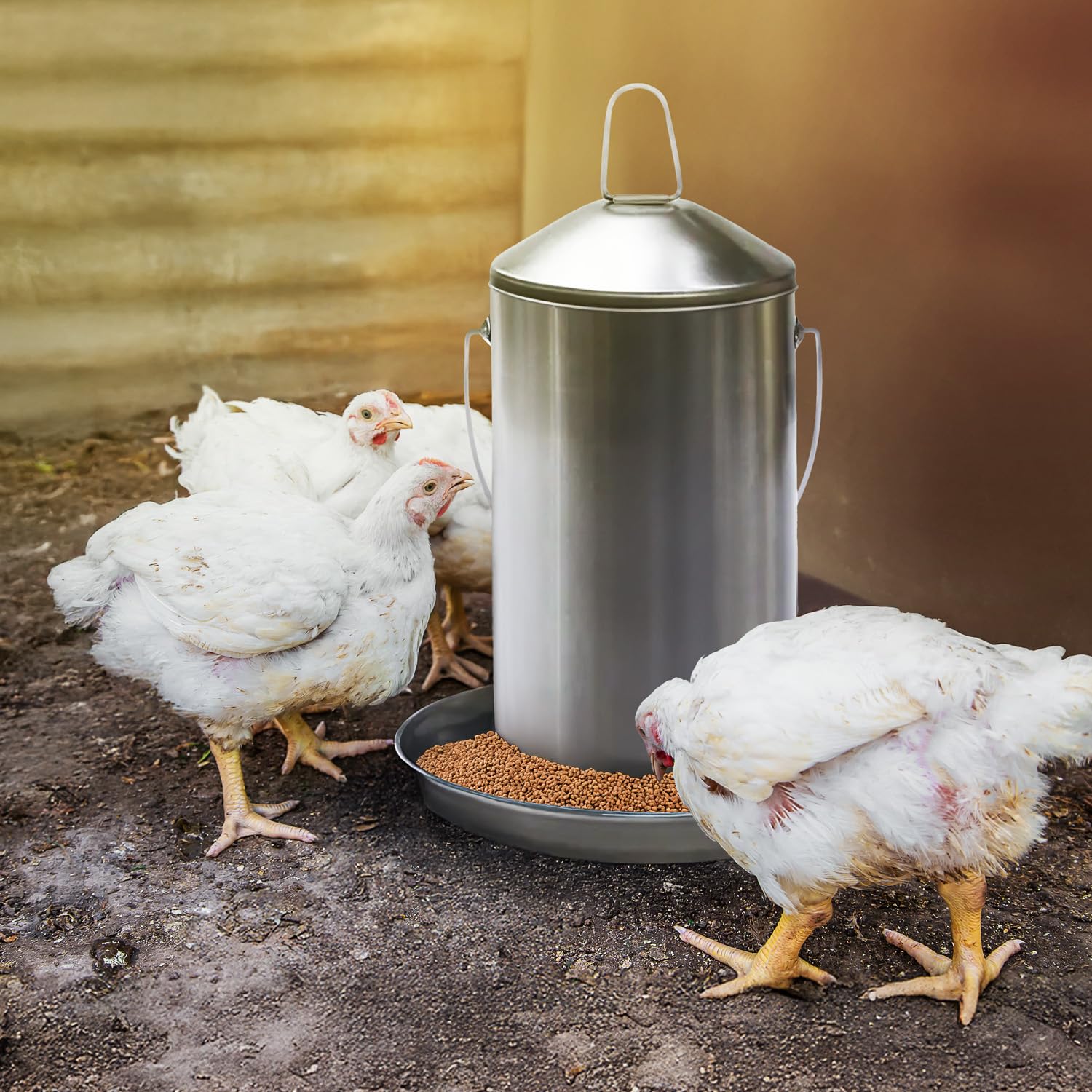 1 Gallon Stainless Steel Automatic Poultry Drinker