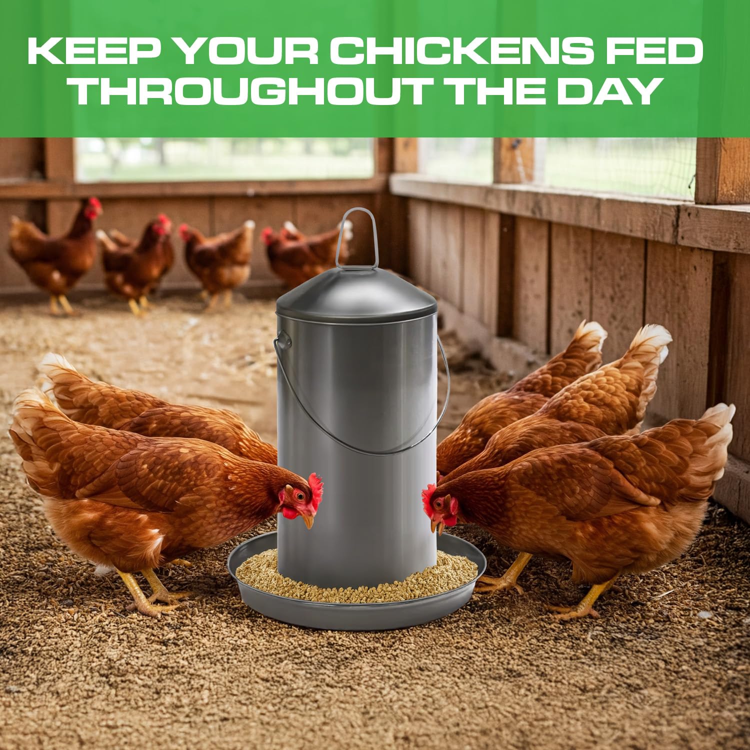 1 Gallon Stainless Steel Automatic Poultry Drinker